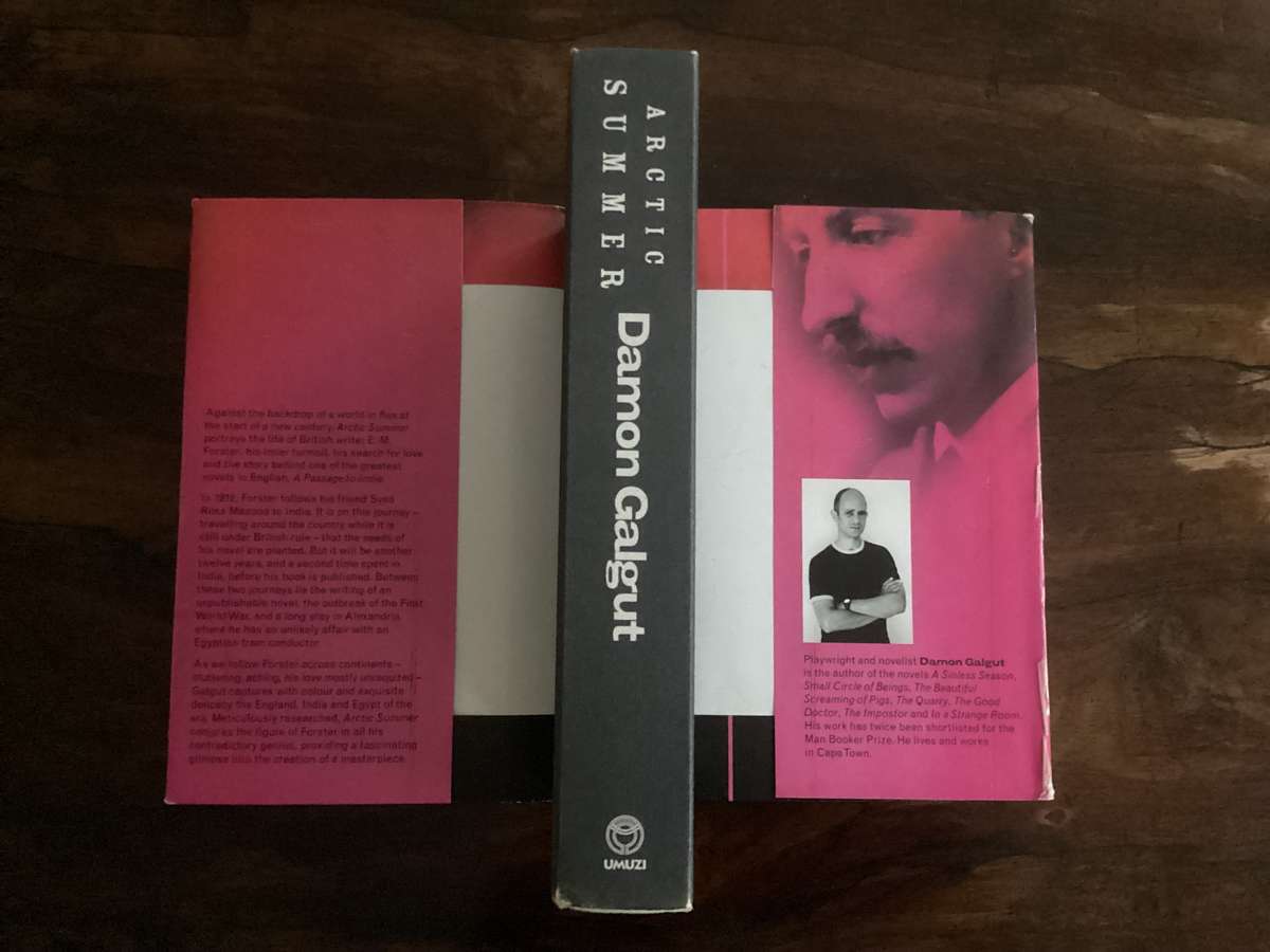 ARCTIC SUMMER by Damon Galgut, hardcover, stated 1st edition, 1st printing 2014. Good condition.