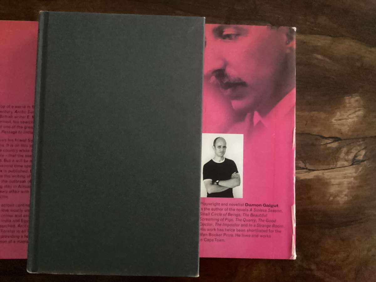 ARCTIC SUMMER by Damon Galgut, hardcover, stated 1st edition, 1st printing 2014. Good condition.