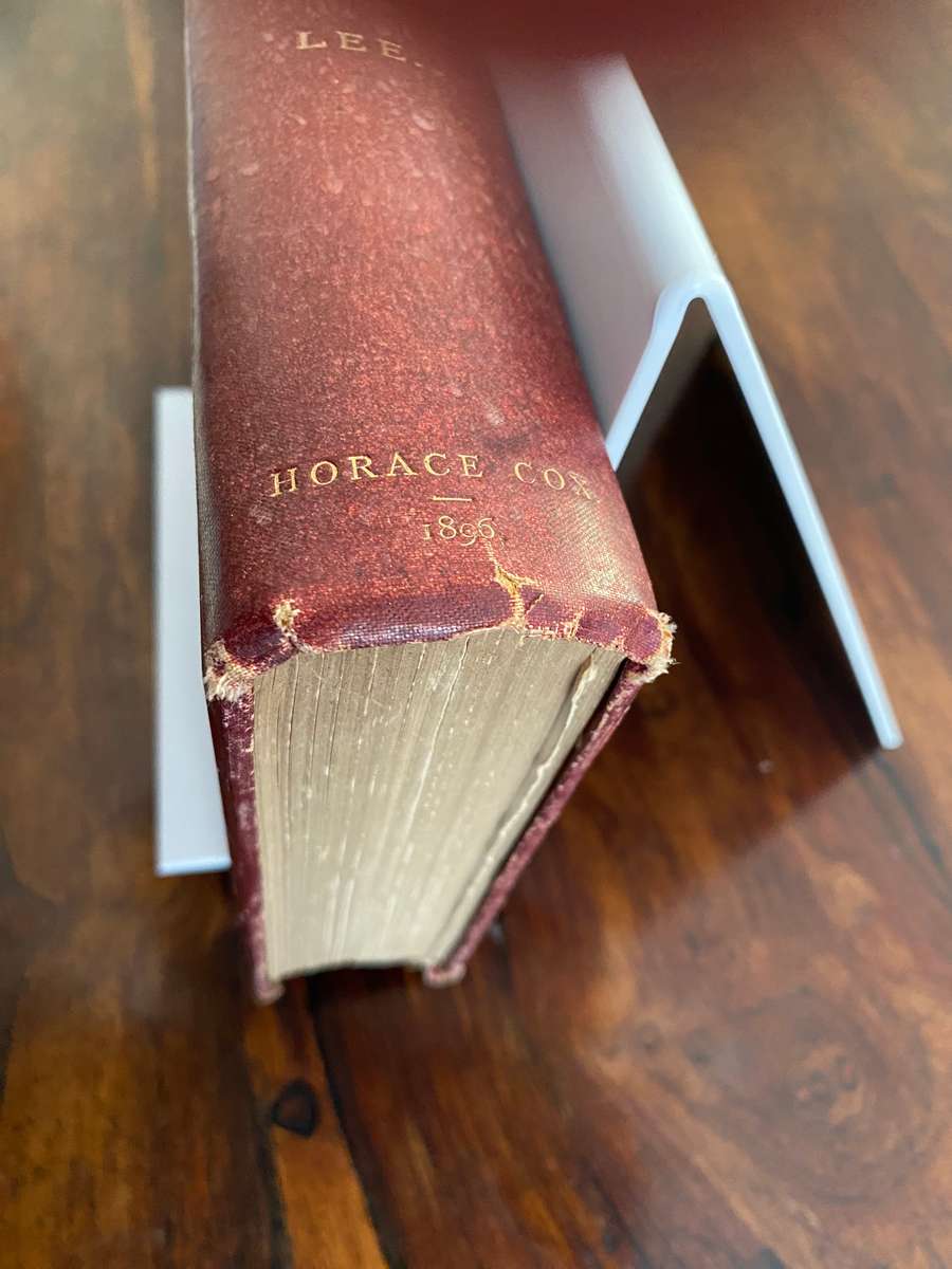 Modern Dogs (Terriers) 1896 - New Edition, by Rawson B Lee. Hardcover. V G  age related condition