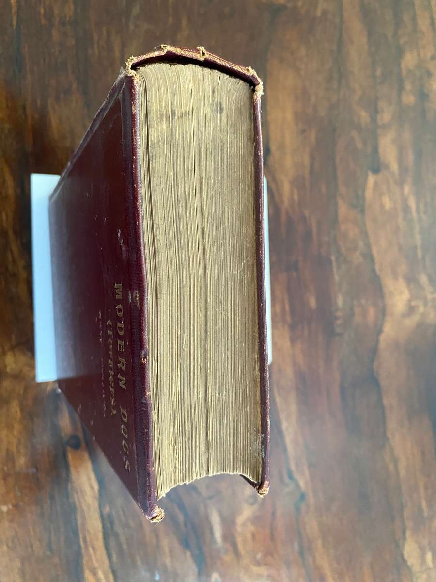 Modern Dogs (Terriers) 1896 - New Edition, by Rawson B Lee. Hardcover. V G  age related condition