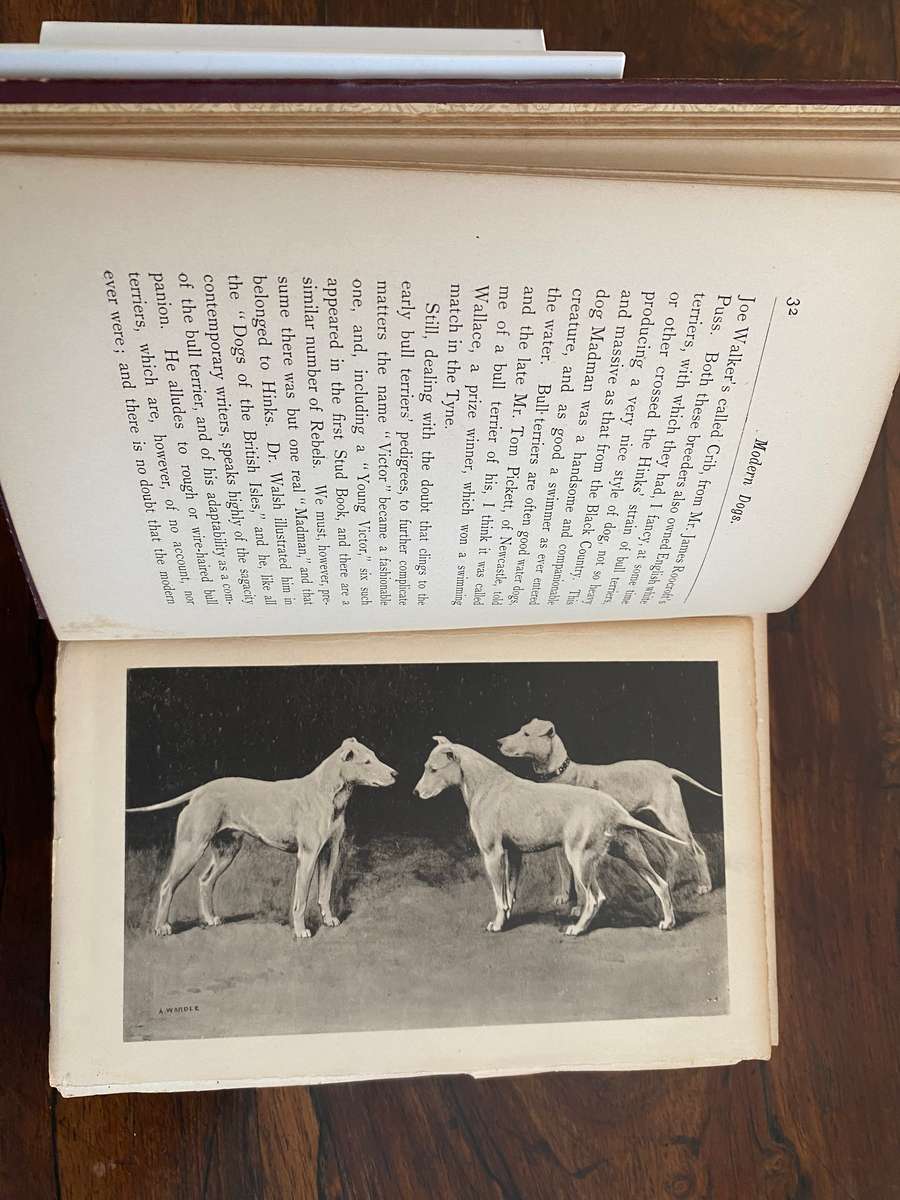 Modern Dogs (Terriers) 1896 - New Edition, by Rawson B Lee. Hardcover. V G  age related condition