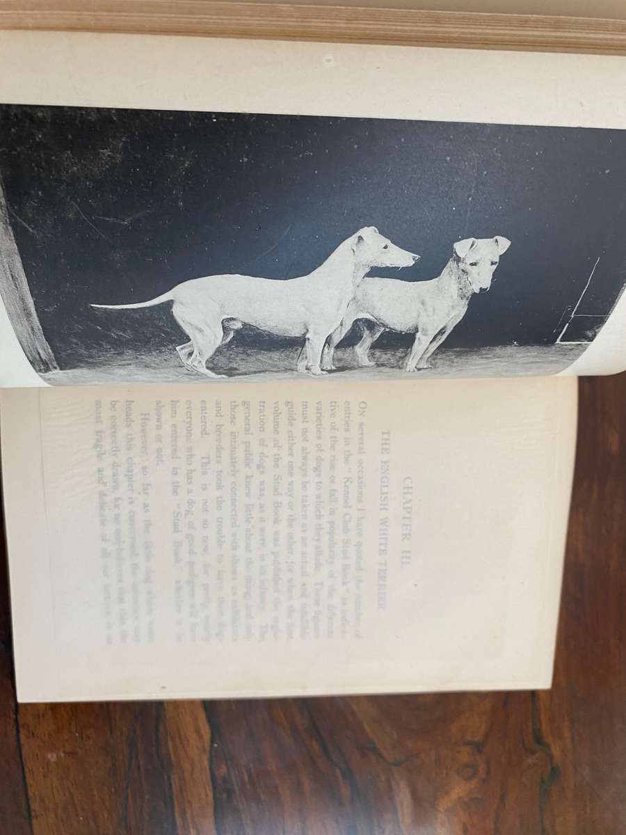 Modern Dogs (Terriers) 1896 - New Edition, by Rawson B Lee. Hardcover. V G  age related condition