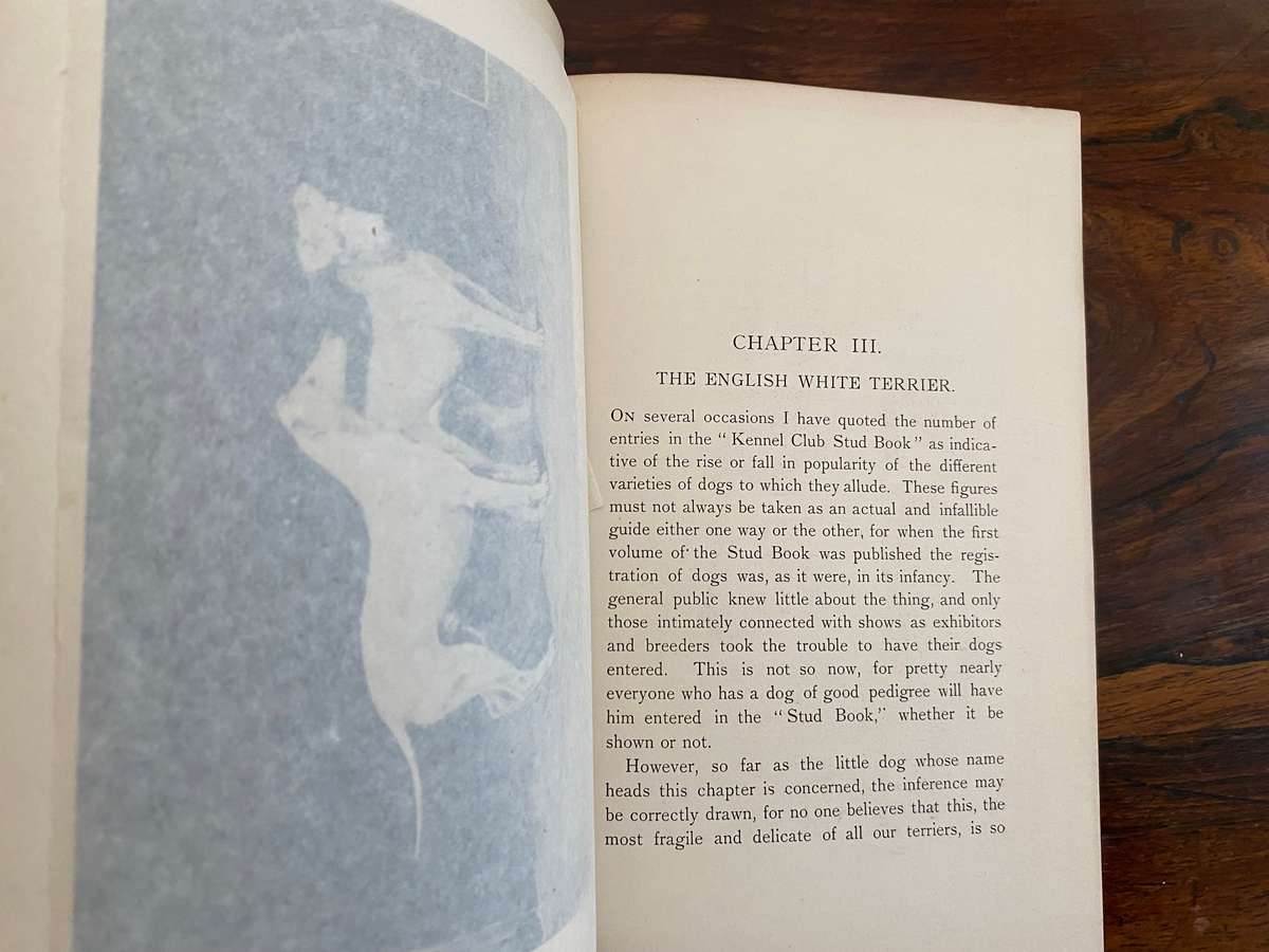 Modern Dogs (Terriers) 1896 - New Edition, by Rawson B Lee. Hardcover. V G  age related condition