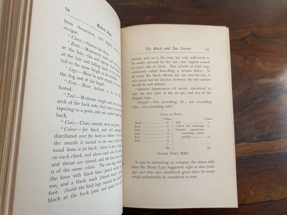 Modern Dogs (Terriers) 1896 - New Edition, by Rawson B Lee. Hardcover. V G  age related condition
