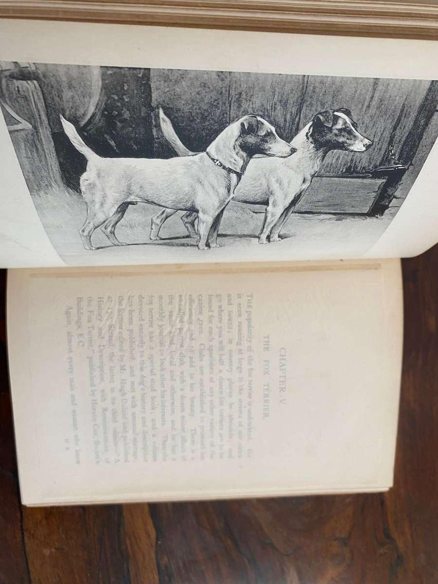 Modern Dogs (Terriers) 1896 - New Edition, by Rawson B Lee. Hardcover. V G  age related condition