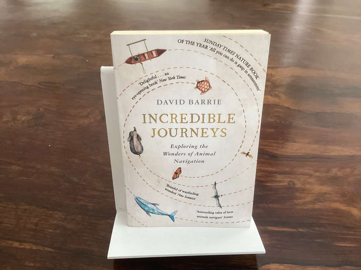 INCREDIBLE JOURNEYS Exploring the wonders of animal navigation. New book.