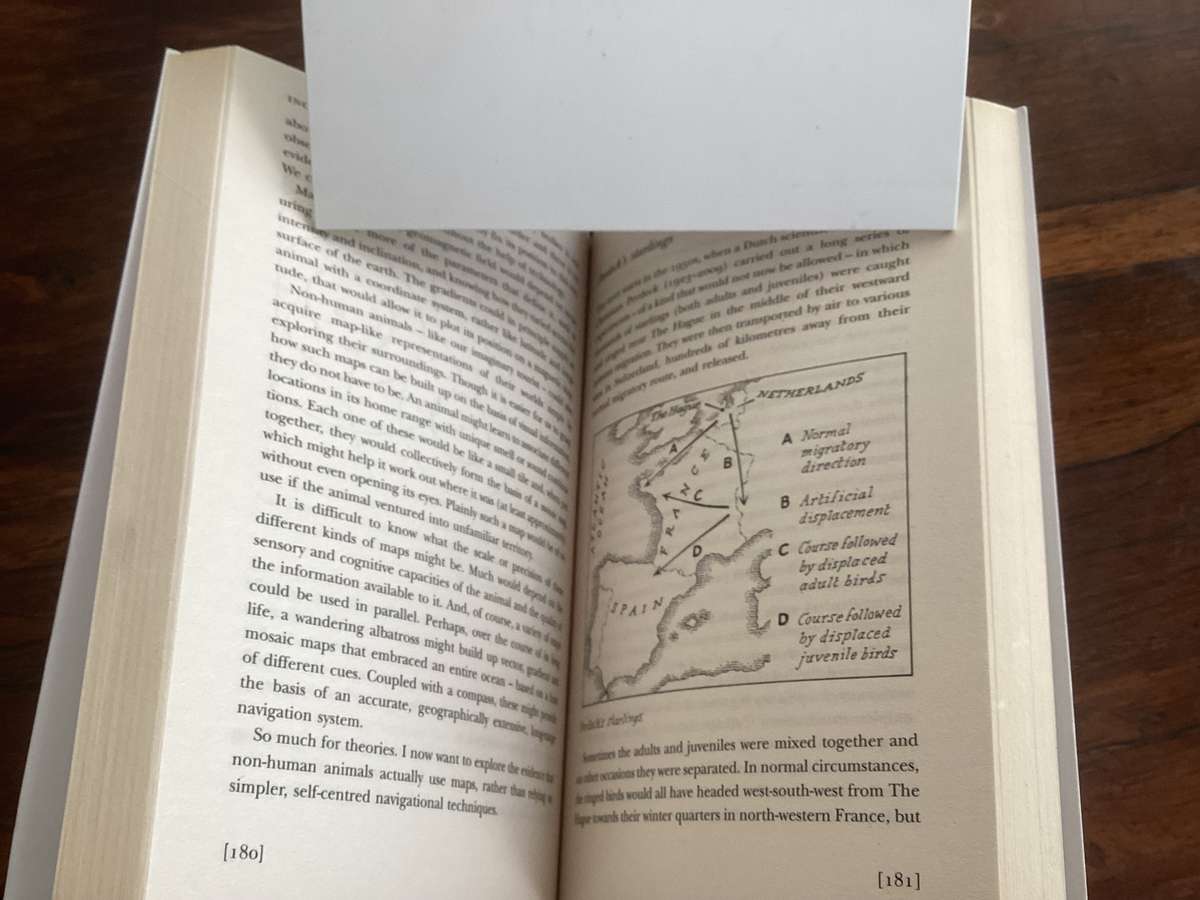 INCREDIBLE JOURNEYS Exploring the wonders of animal navigation. New book.