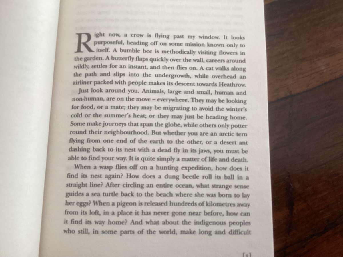 INCREDIBLE JOURNEYS Exploring the wonders of animal navigation. New book.