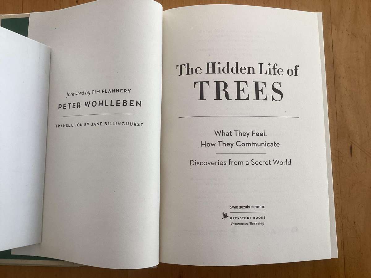 The Hidden Life Of TREES - Small format hardcover in excellent condition.