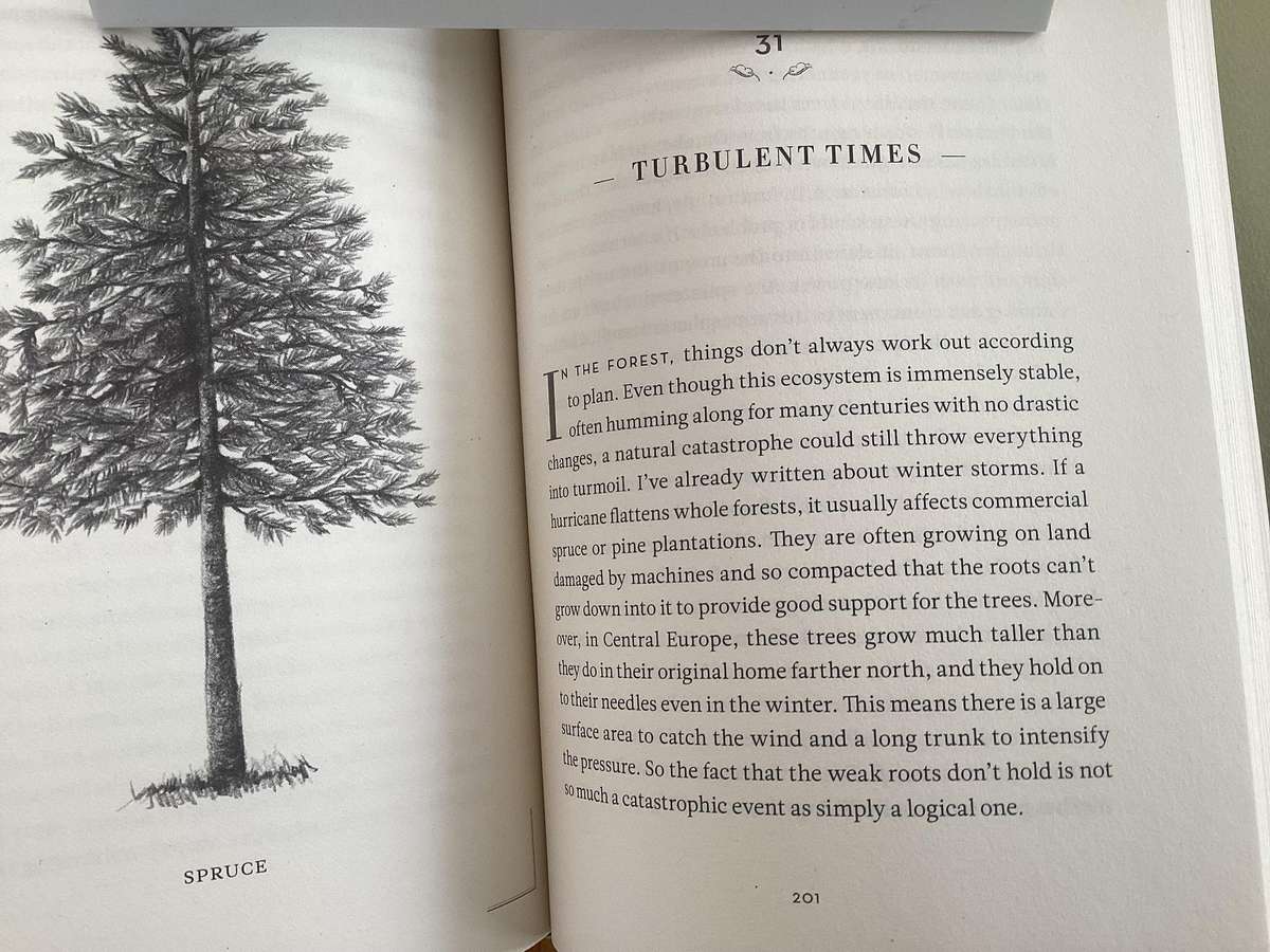 The Hidden Life Of TREES - Small format hardcover in excellent condition.
