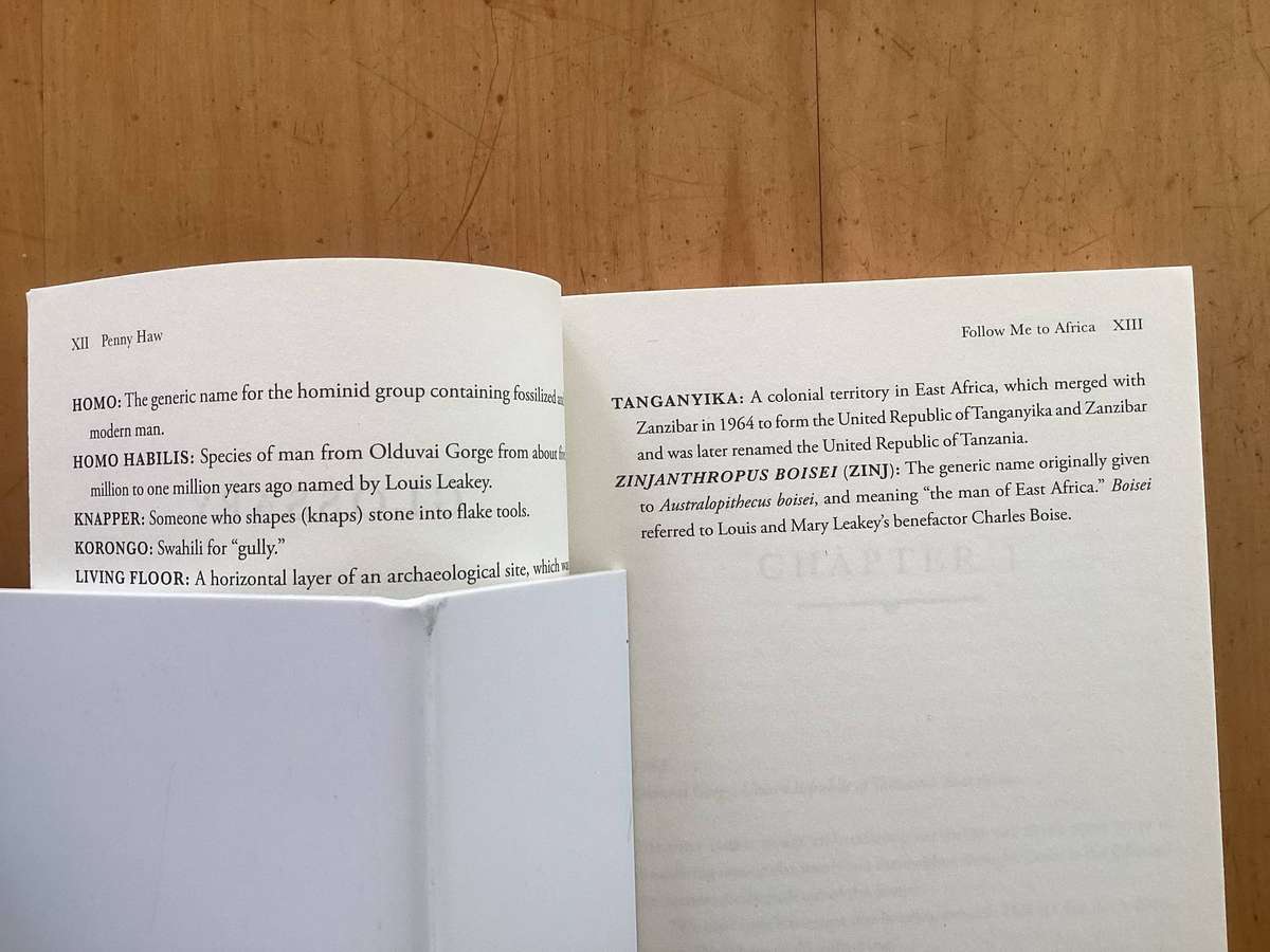 FOLLOW ME TO AFRICA. A novel by Penny Haw. Paperback in a new condition.