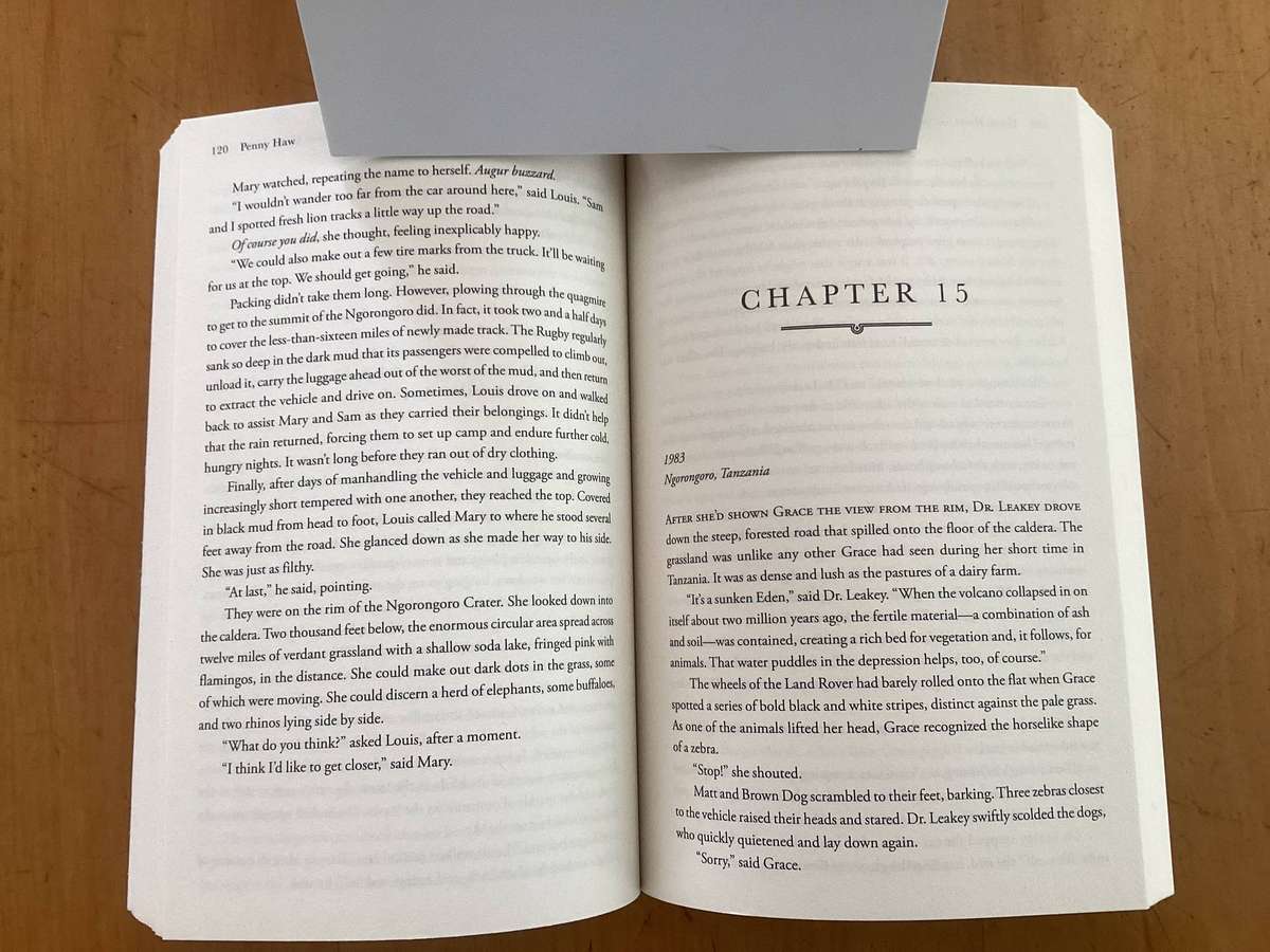 FOLLOW ME TO AFRICA. A novel by Penny Haw. Paperback in a new condition.