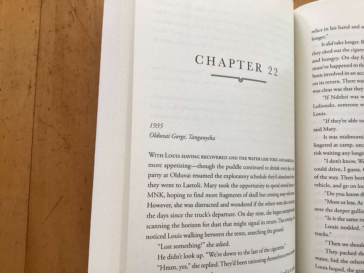 FOLLOW ME TO AFRICA. A novel by Penny Haw. Paperback in a new condition.