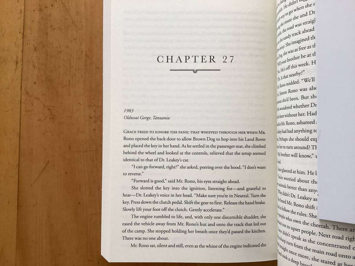 FOLLOW ME TO AFRICA. A novel by Penny Haw. Paperback in a new condition.