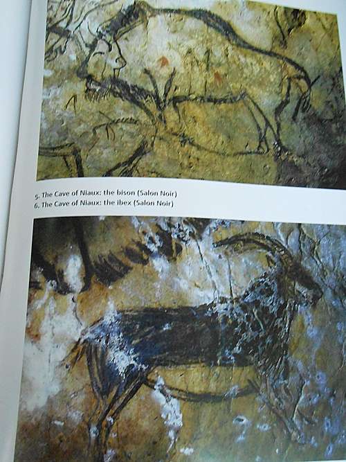 Alone in the world? Human Uniqueness in Science and Theology, Van huyssteen