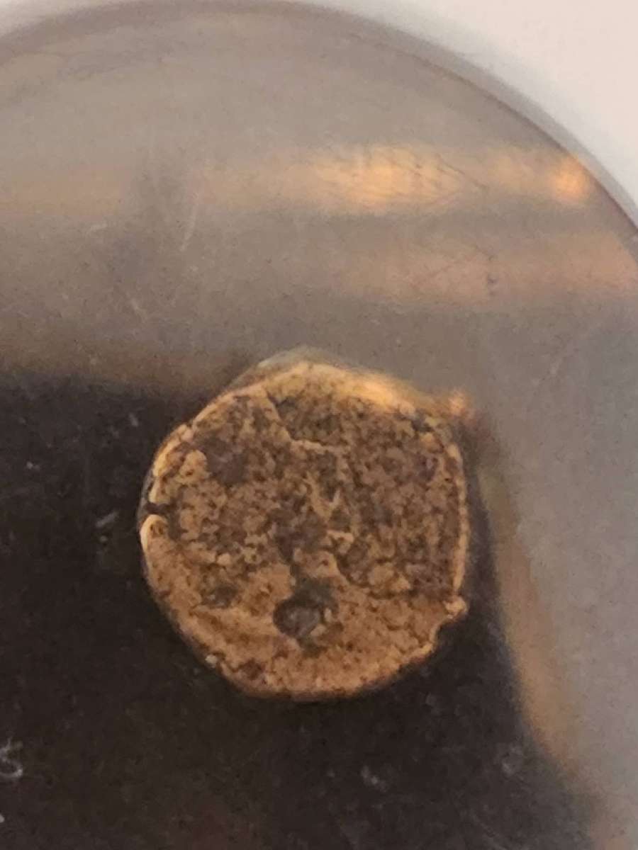 Eastern Roman empire zeno (AD474-491)