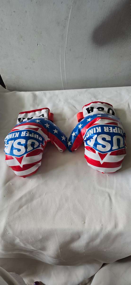 KIDS PUNCHING BAG WITH GLOVES