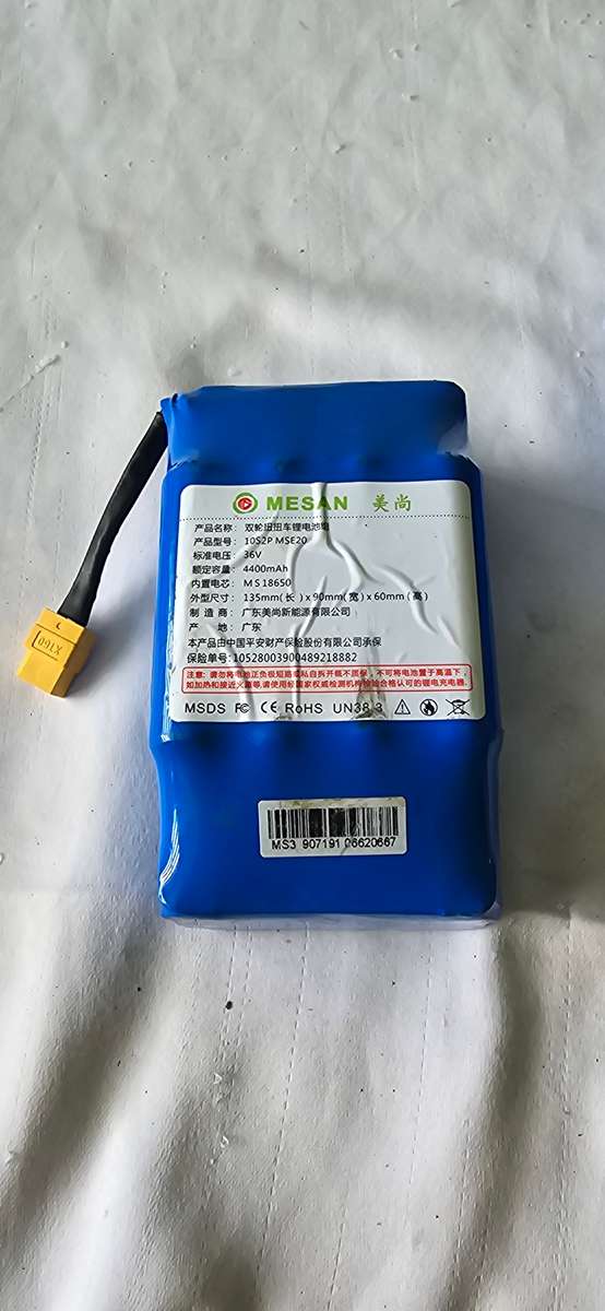 36V ELECTRONIC BATTERY