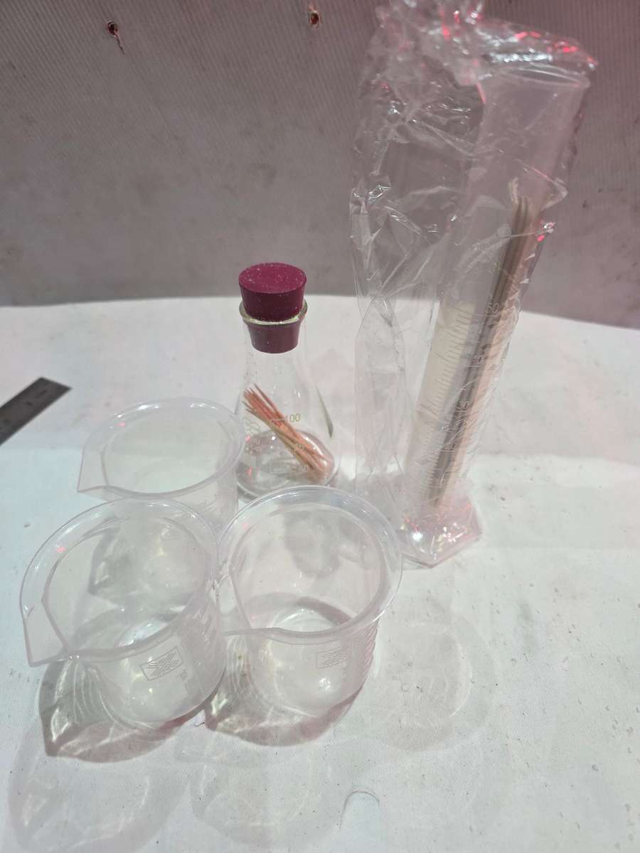 Grade 10 scientific experiments