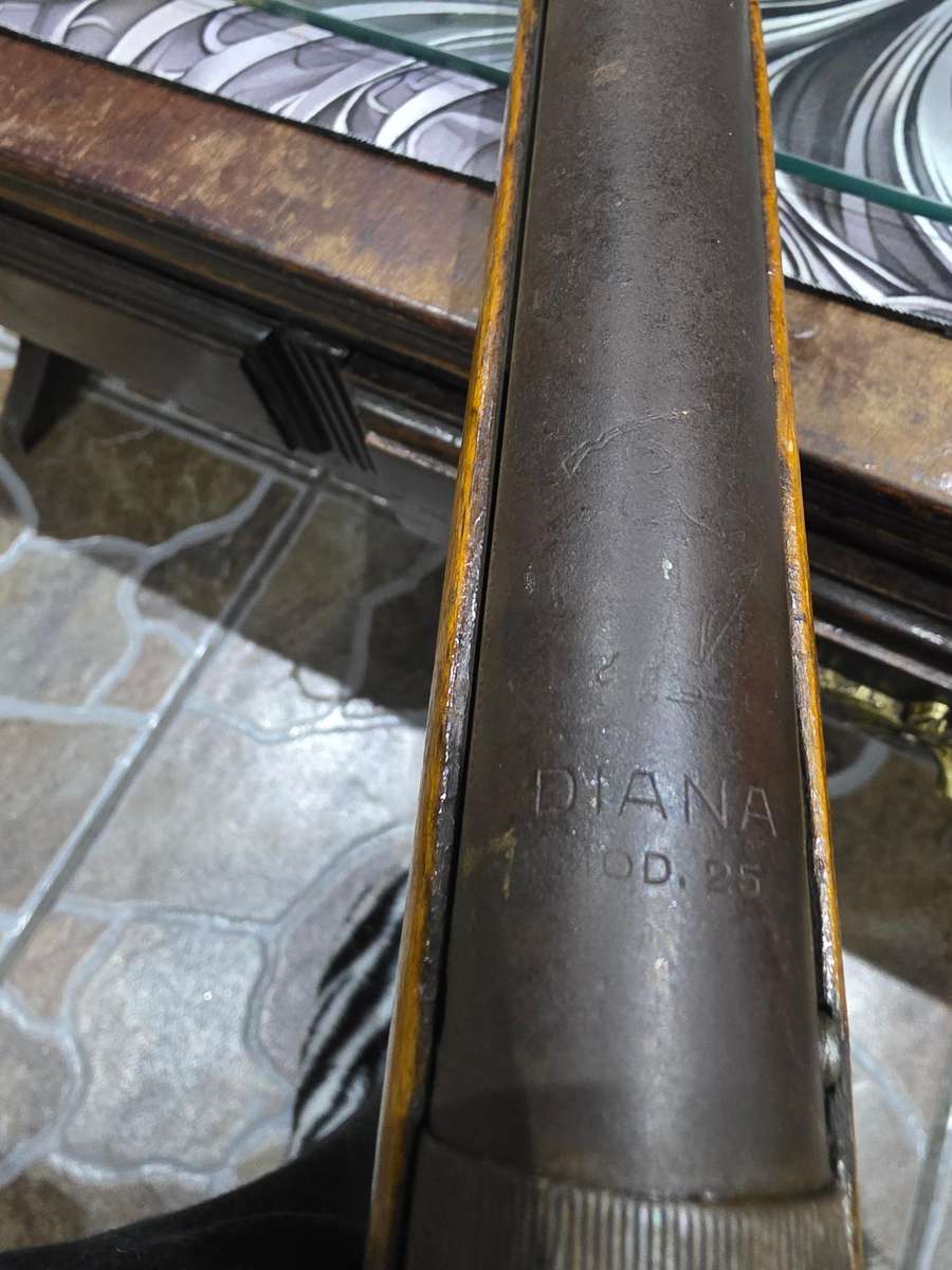 Vintage Diana Rifle
