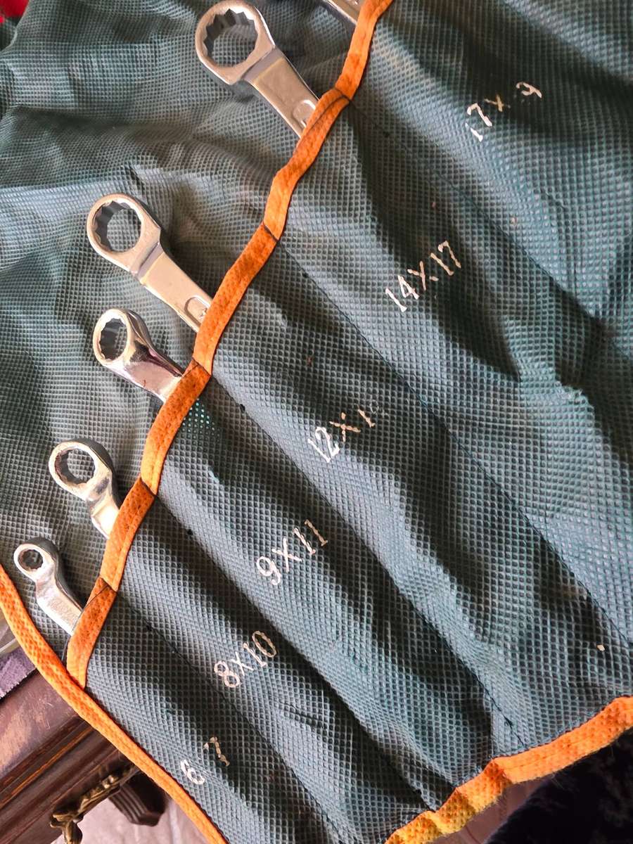 10 PIECE RING SPANNER(6-32MM)