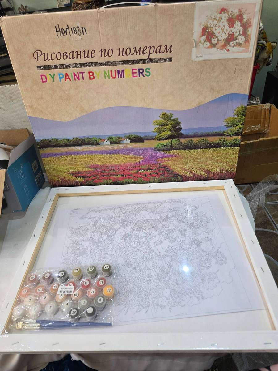 DIY PAINT BY NUMBERS KIT(50 x 40cm)