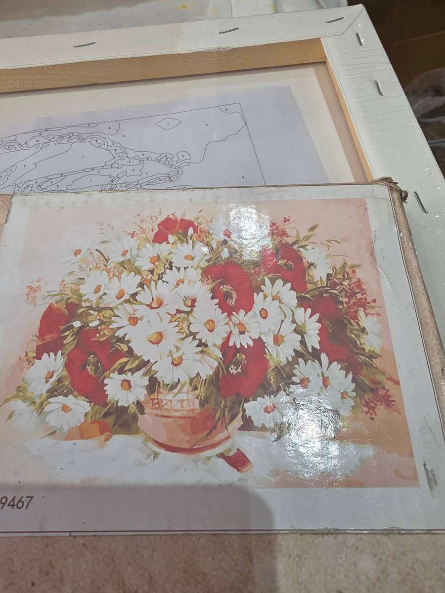 DIY PAINT BY NUMBERS KIT(50 x 40cm)