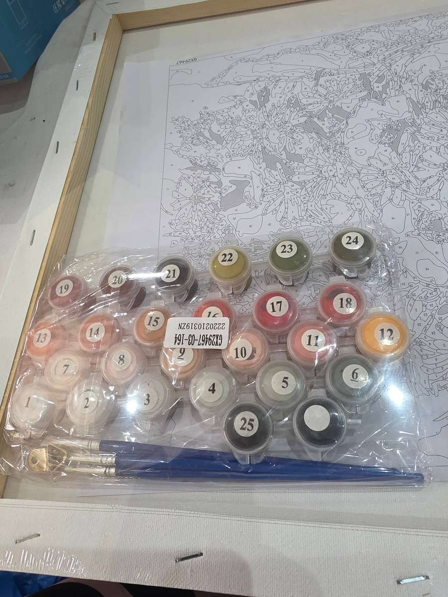 DIY PAINT BY NUMBERS KIT(50 x 40cm)