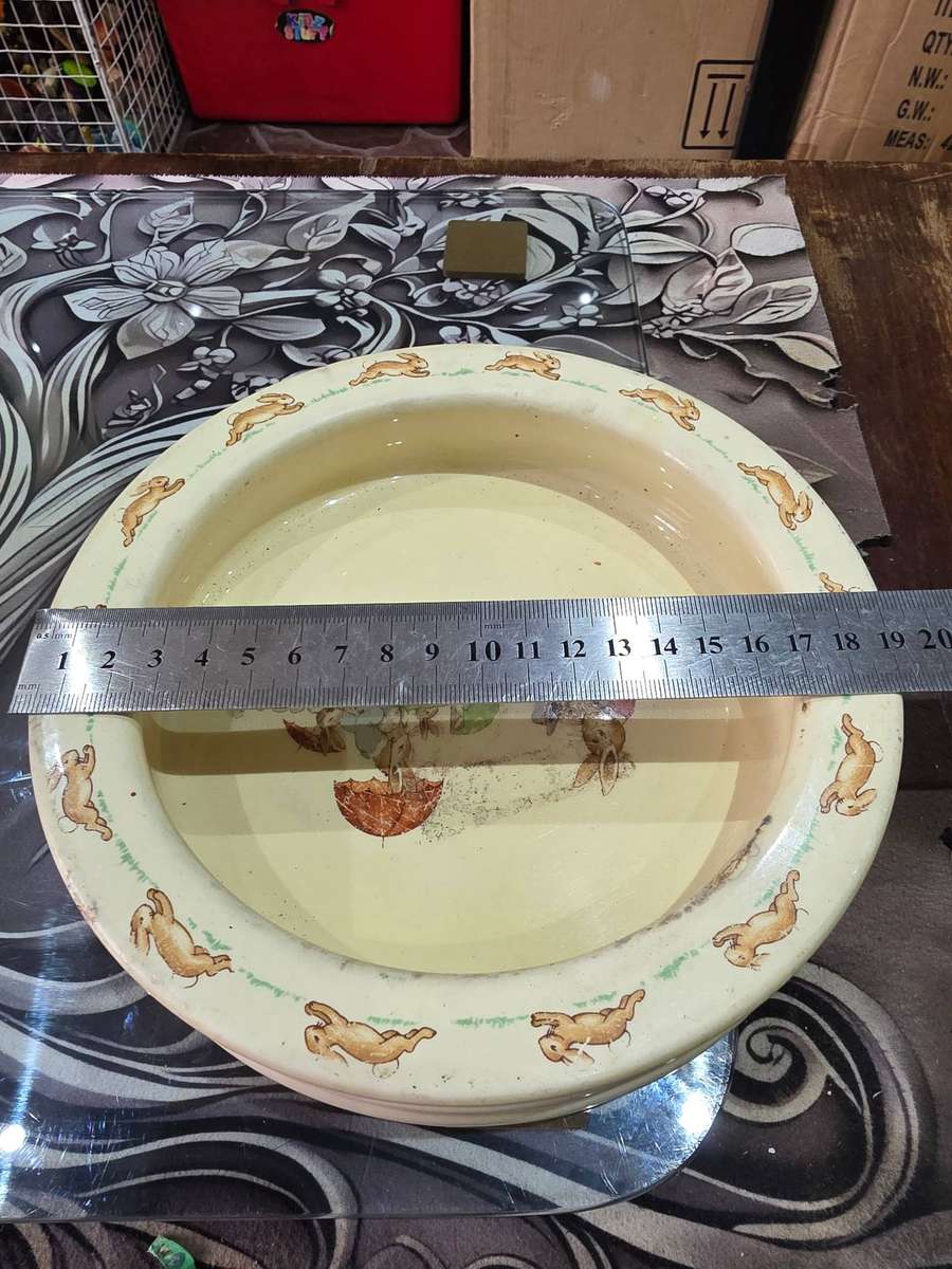 PETER RABBIT BUNNYKINS CEREAL BOWL