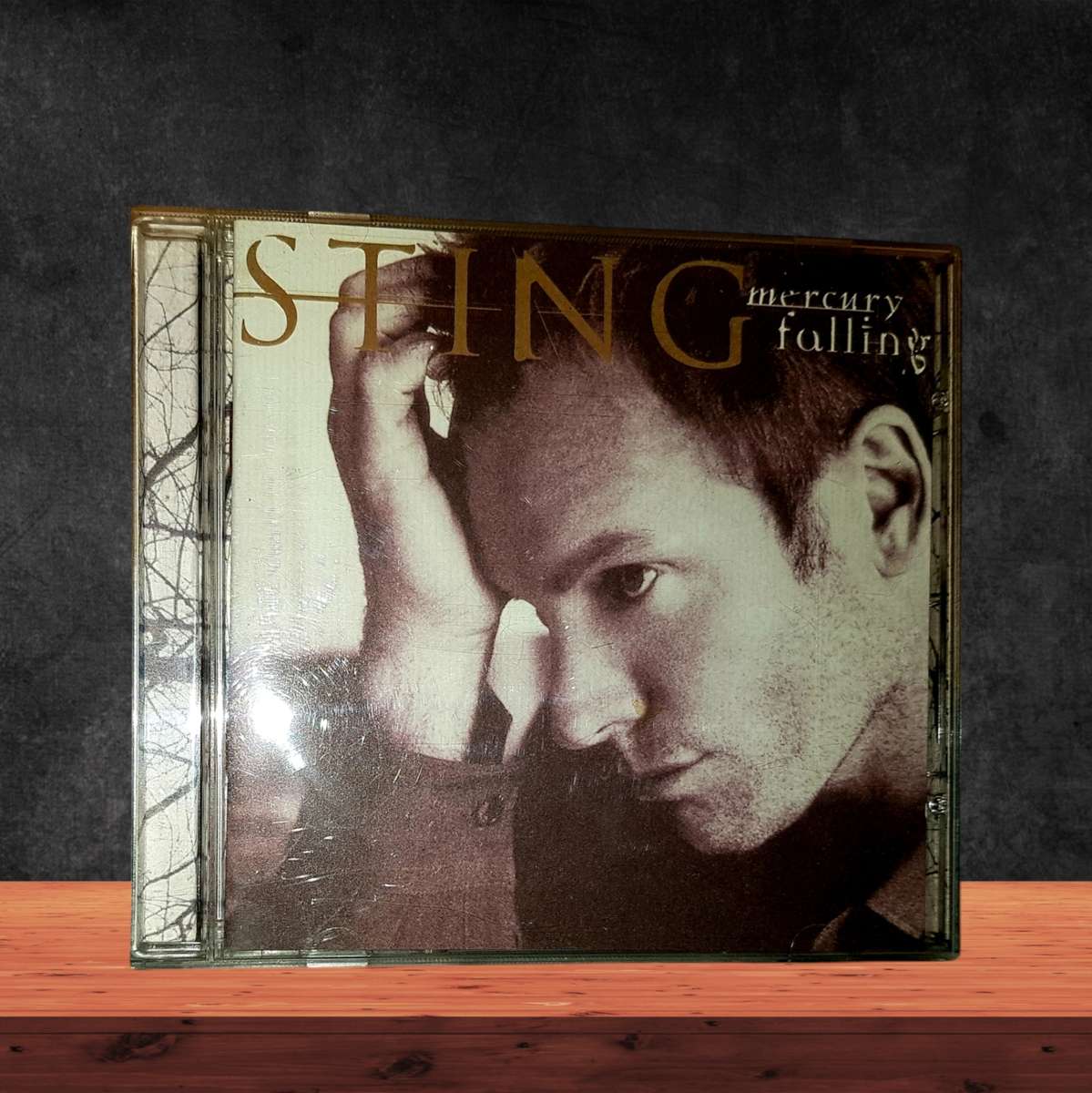 CD Sting Mercury Falling
