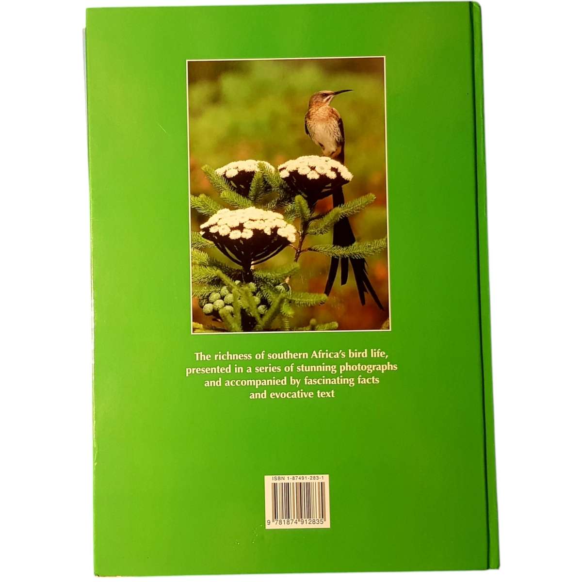 Hardcover Book - Spectacular World of Southern African Birds