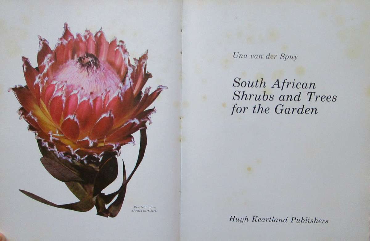 South African Shrubs & Trees for the Garden