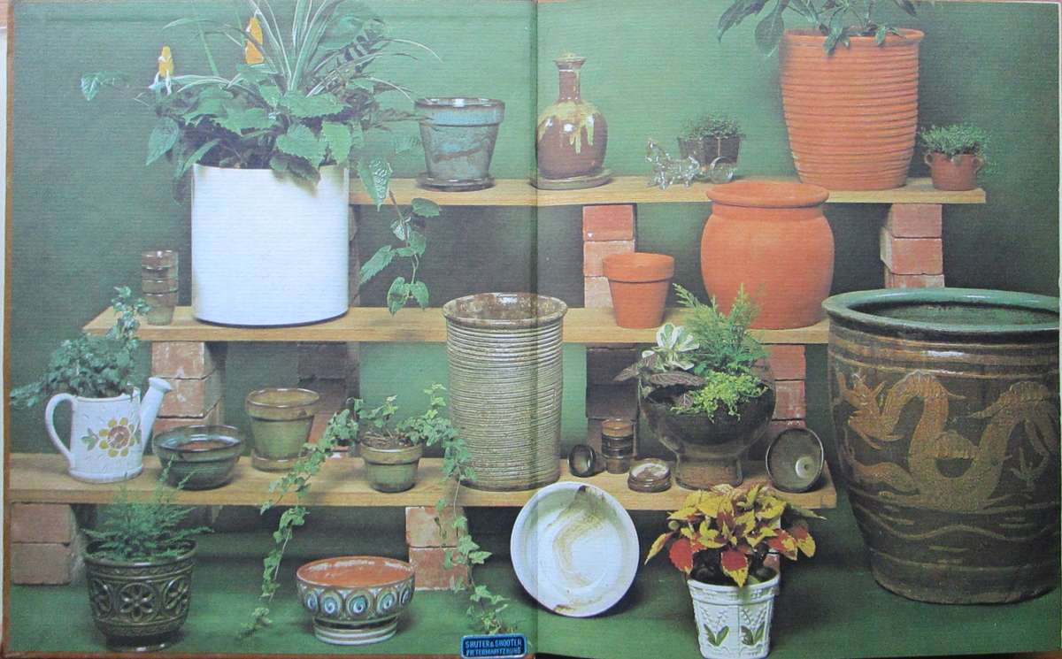 Container and Indoor Gardening