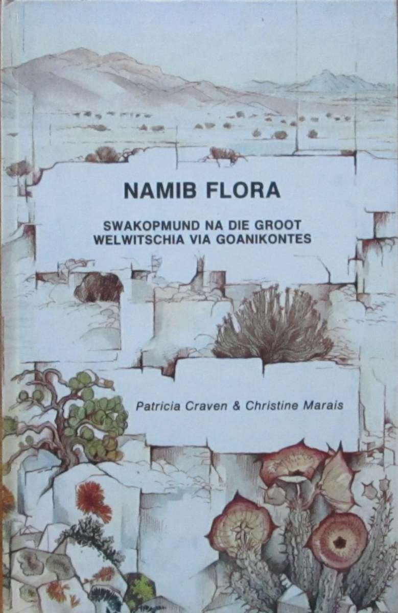 Namib Flora Swakopmund Na Die Groot Welwitchia Via Goanikontes