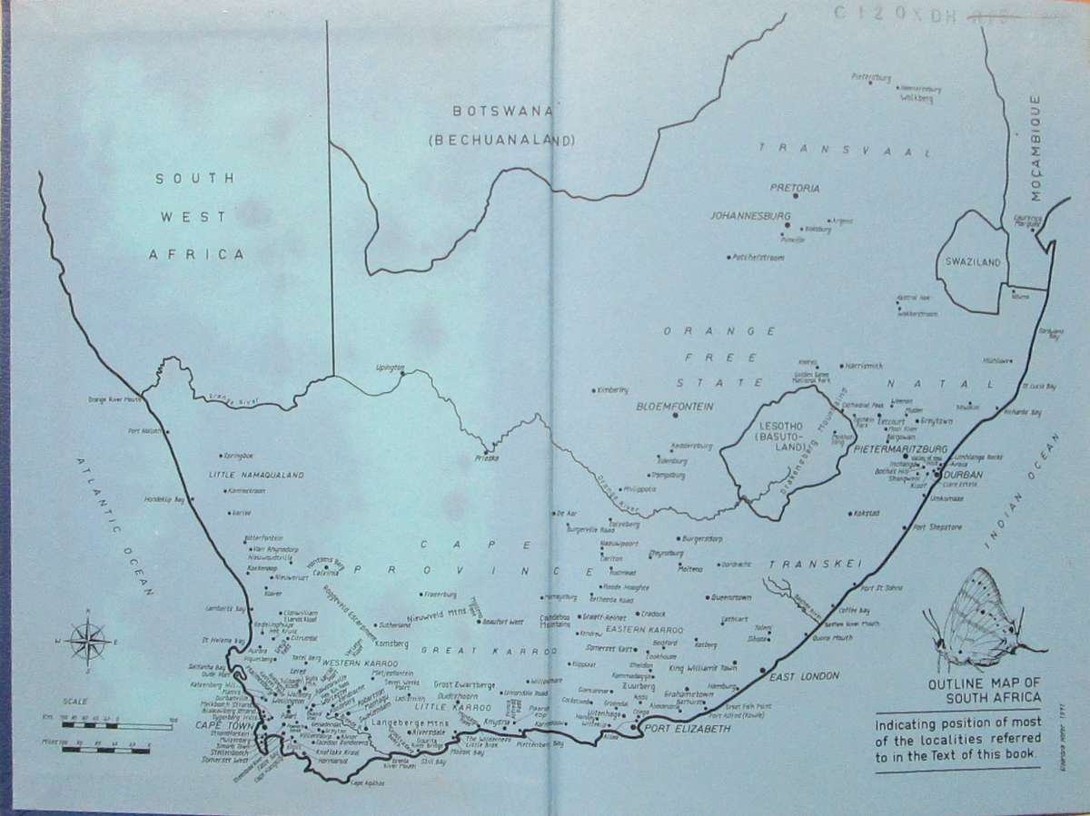 Life Histories of the South African Lycaenid Butterflies