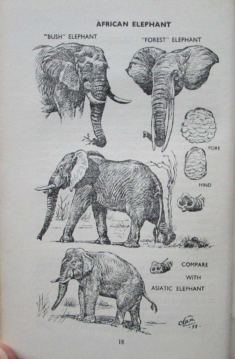 Animals of Rhodesia