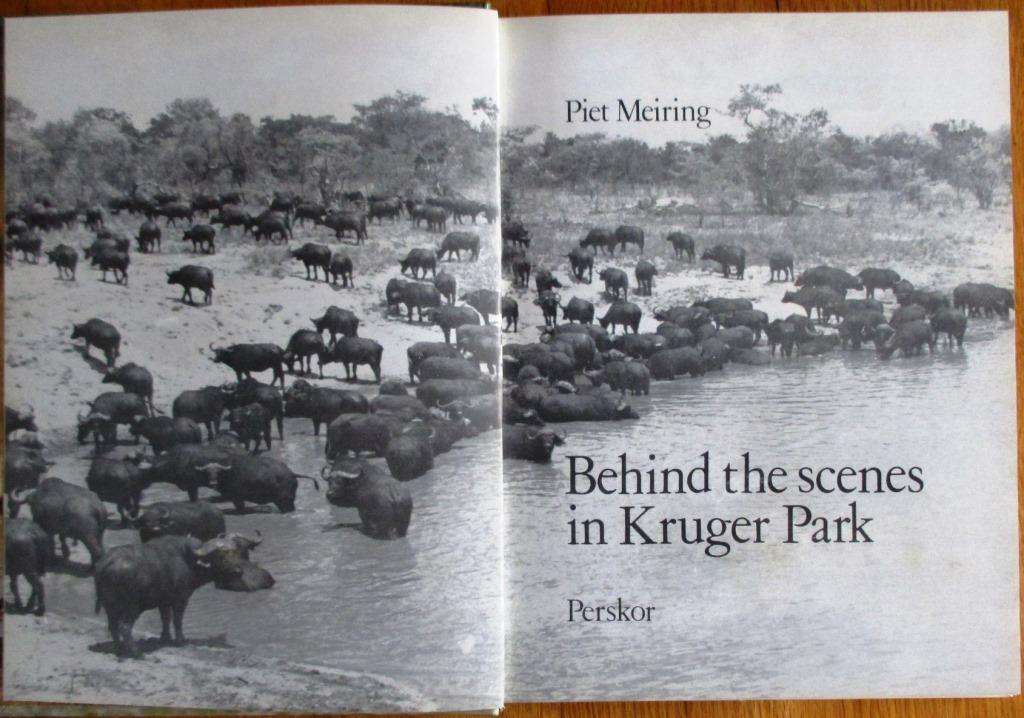Behind the Scenes in Kruger Park