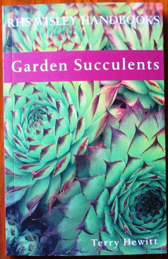 Garden Succulents