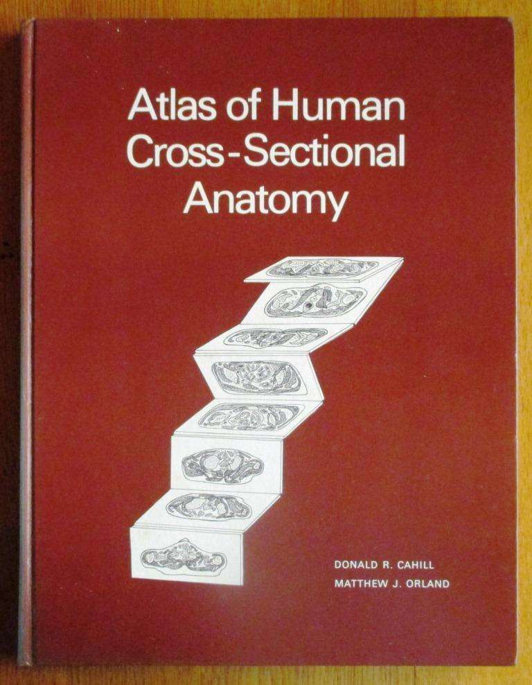 Atlas of Human Cross-Sectional Anatomy