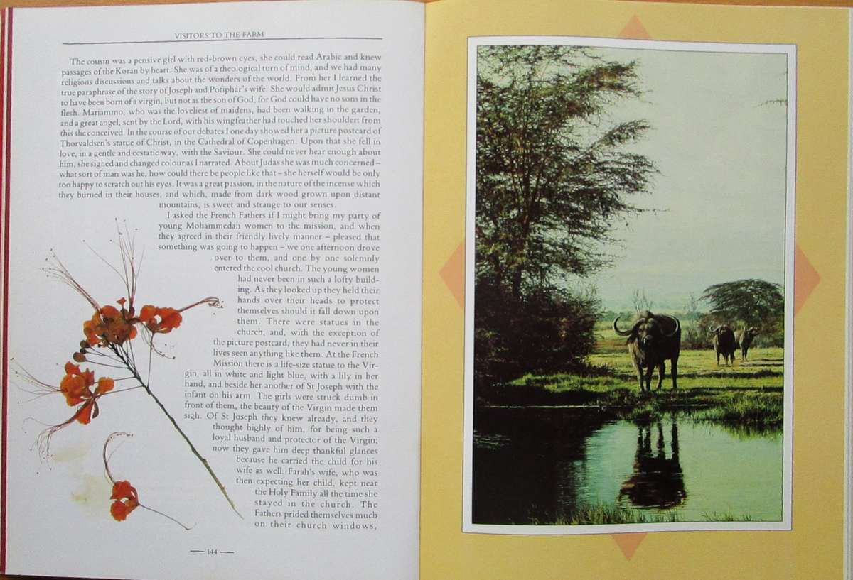 The Illustrated Out of Africa