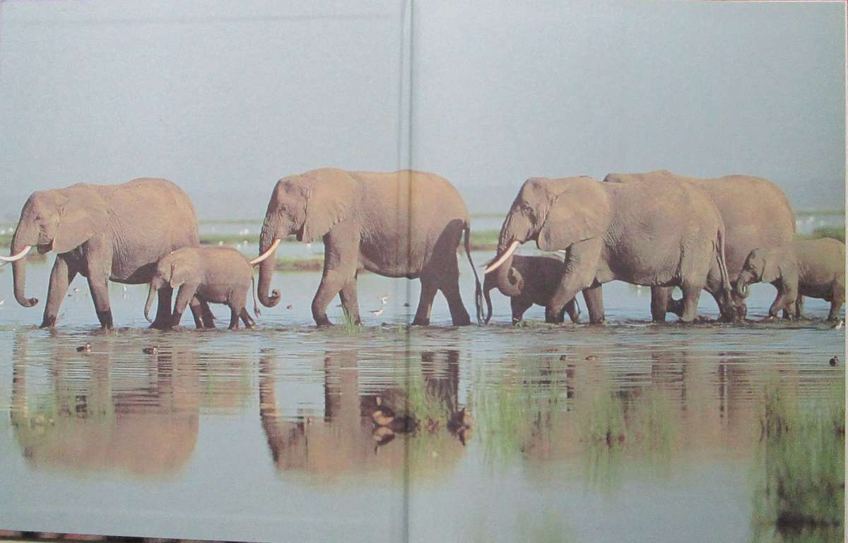 Encyclopedia of World Wildlife