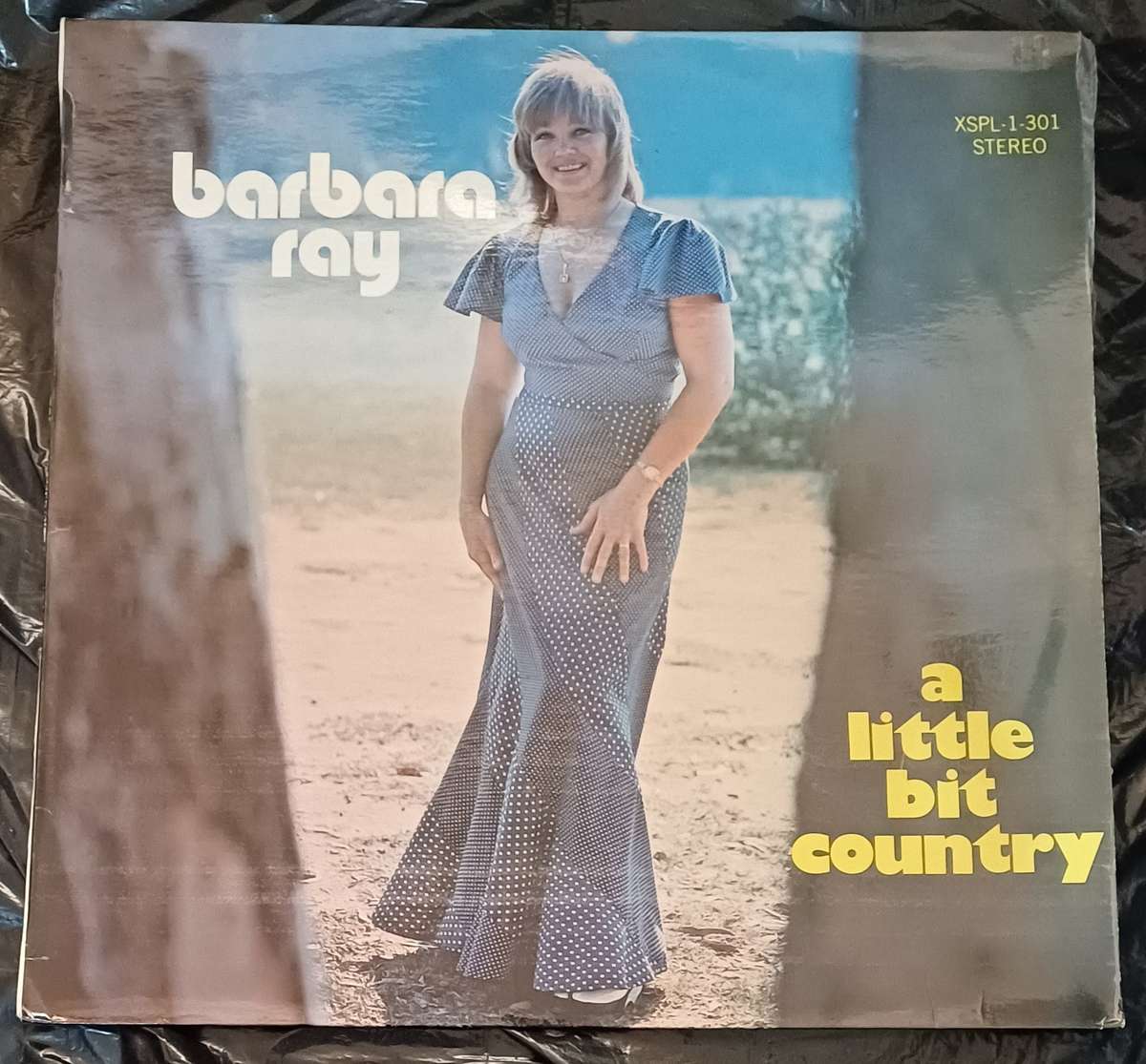 BARBARA RAY - A LITTLE BIT COUNTRY