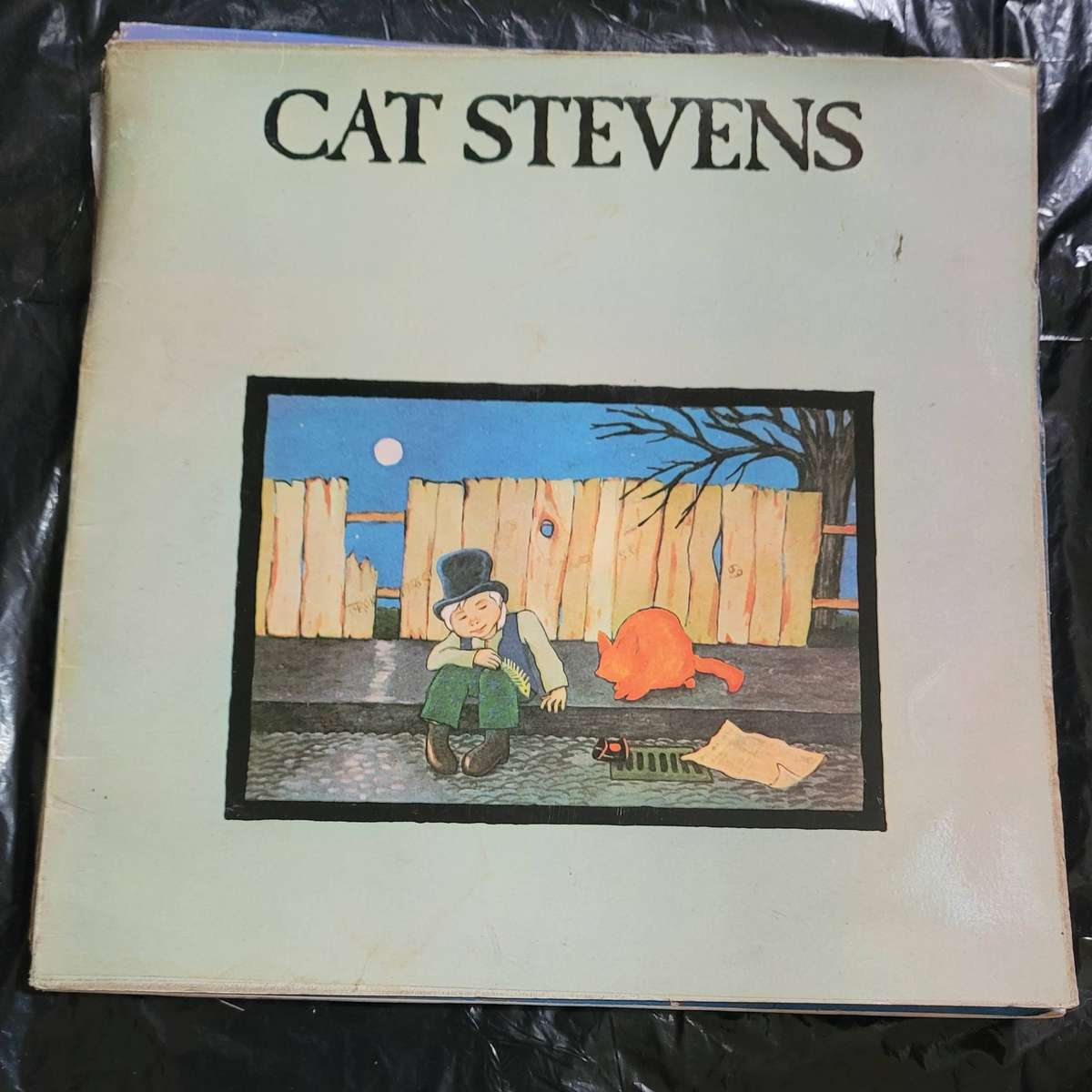 CAT STEVENS