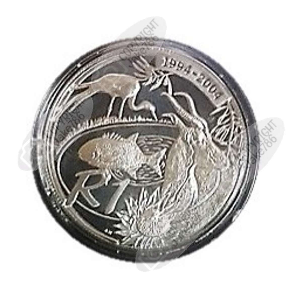 2004 Silver Proof Protea R1 - Democracy