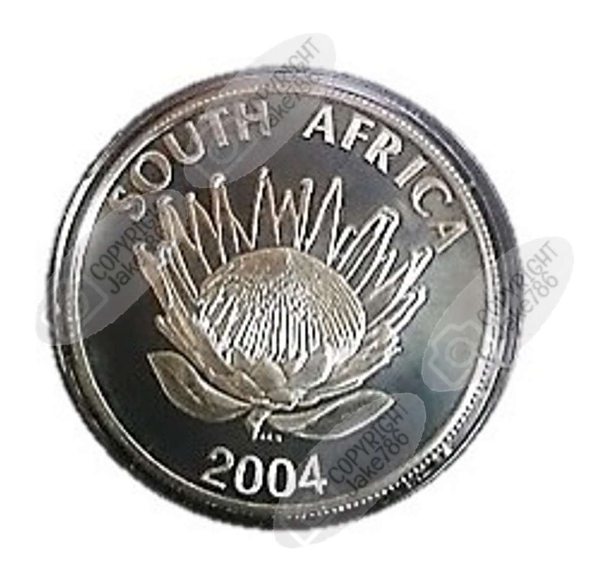 2004 Silver Proof Protea R1 - Democracy