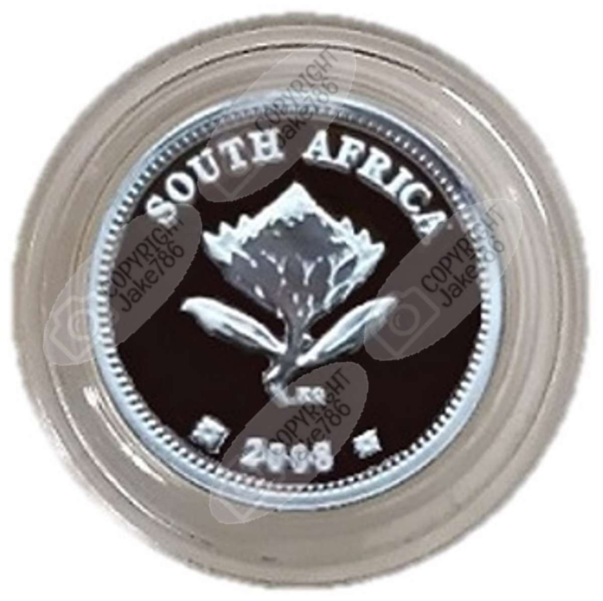 2008 Silver Proof 2½ c (Tickey) - Polar Year