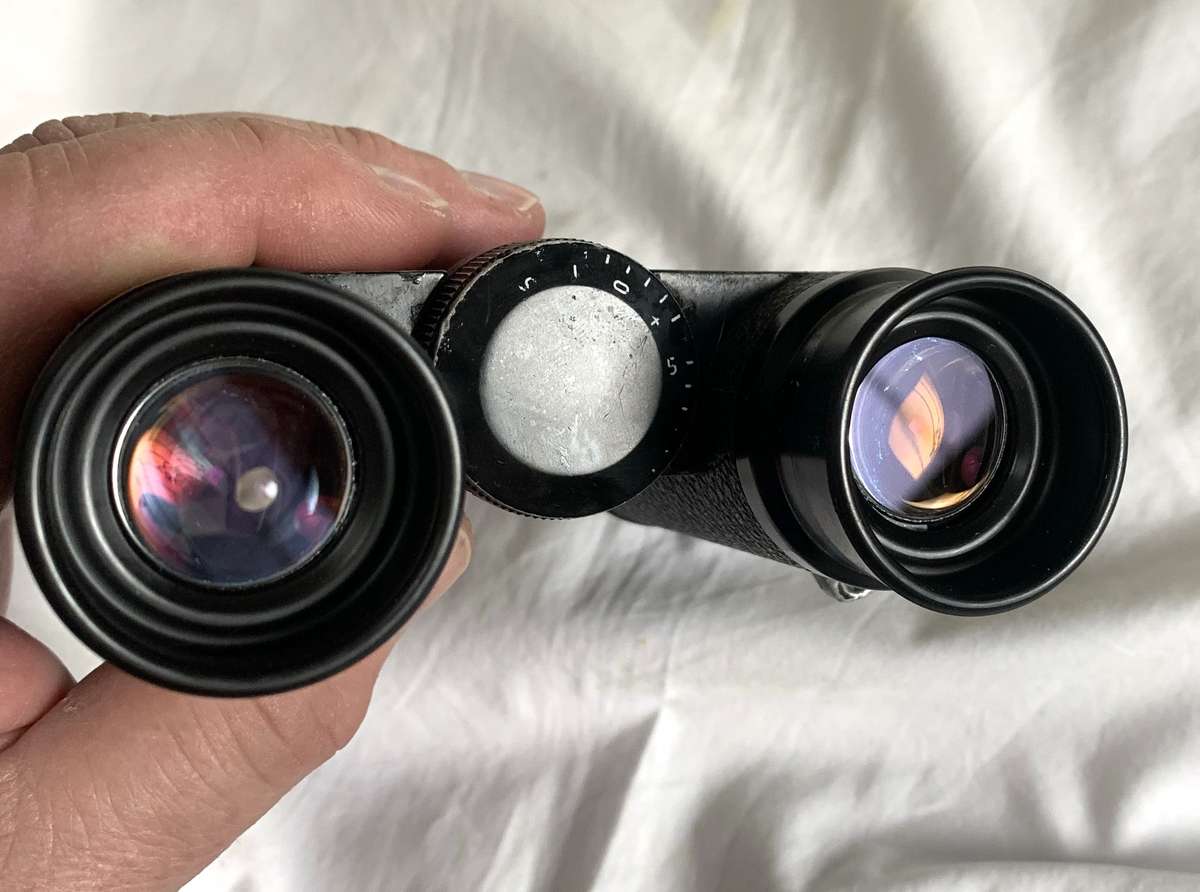 Zeiss Dialyt 8x30B binoculars bright & clear made in Germany.