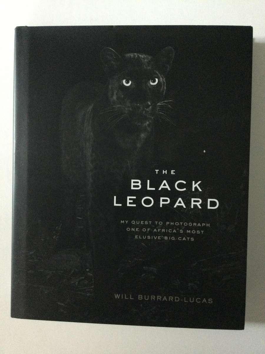 The Black Leopard, Will Burrard-Lucas, 2021