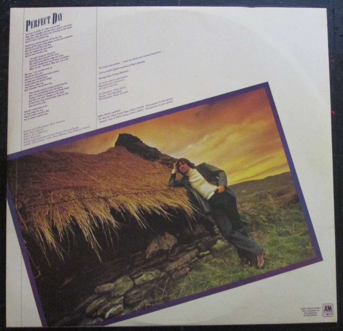 CHRIS DE BURGH - AT THE END OF A PERFECT DAY (LP/VINYL)