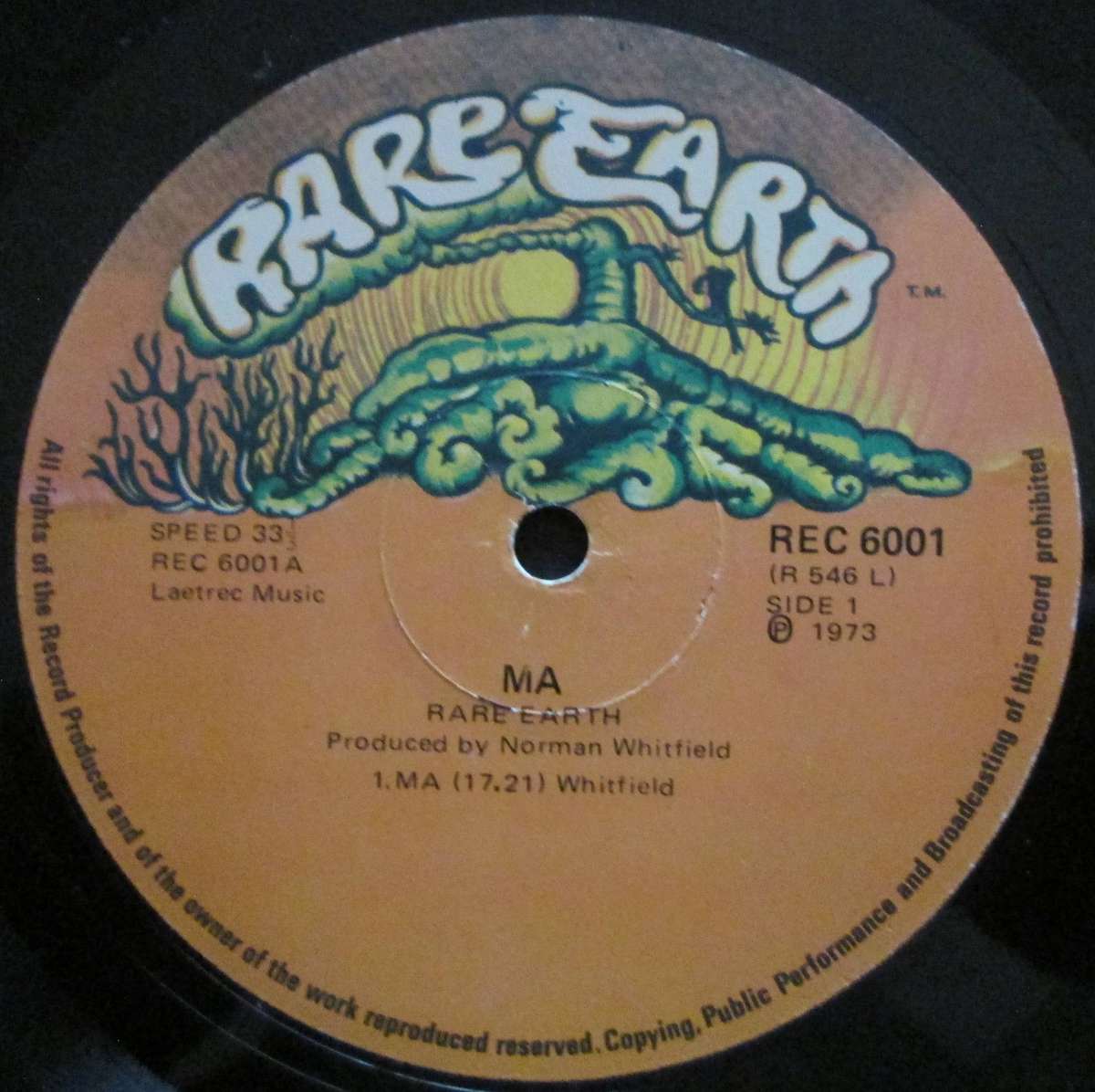 RARE EARTH - MA  (LP/VINYL)